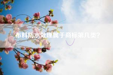 布料防水处理属于商标第几类？