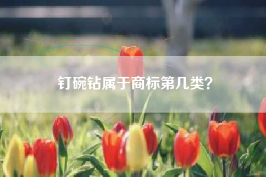 钉碗钻属于商标第几类？