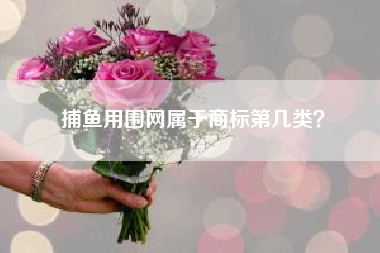 捕鱼用围网属于商标第几类？