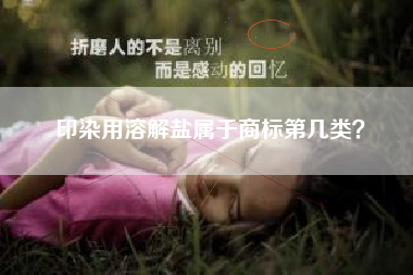 印染用溶解盐属于商标第几类？