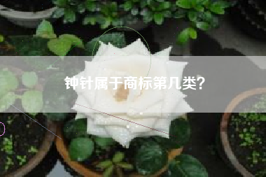 钟针属于商标第几类？