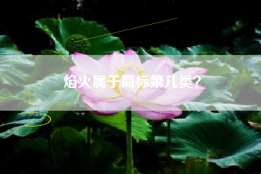 焰火属于商标第几类？