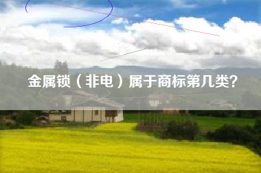 金属锁（非电）属于商标第几类？