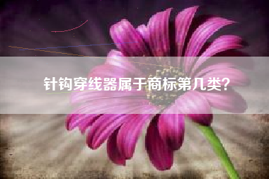 针钩穿线器属于商标第几类？