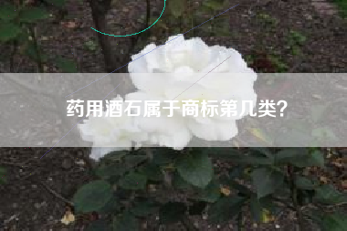 药用酒石属于商标第几类？