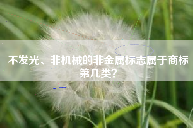 不发光、非机械的非金属标志属于商标第几类？