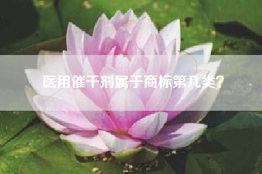 医用催干剂属于商标第几类？