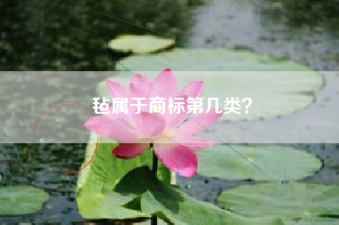 毡属于商标第几类？