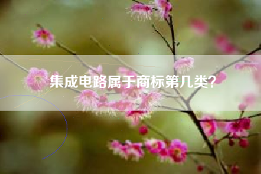 集成电路属于商标第几类？