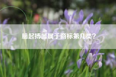 脑起搏器属于商标第几类？