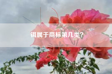 铒属于商标第几类？
