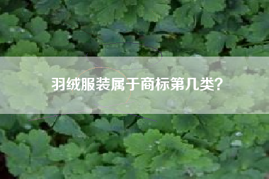 羽绒服装属于商标第几类？