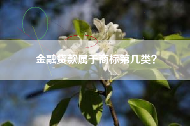 金融贷款属于商标第几类? 金融贷款属于商标第几类?