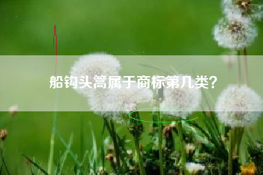 船钩头篙属于商标第几类？