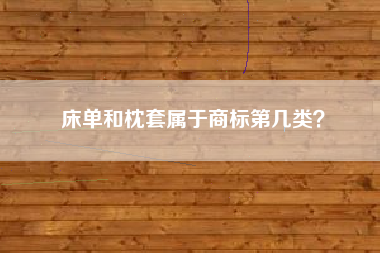 床单和枕套属于商标第几类？