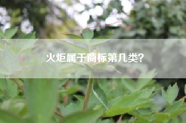 火炬属于商标第几类？