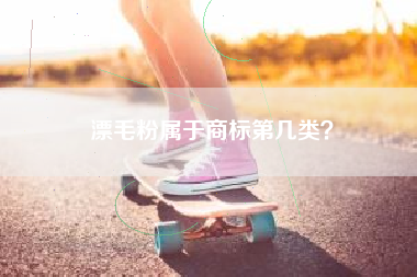 漂毛粉属于商标第几类？