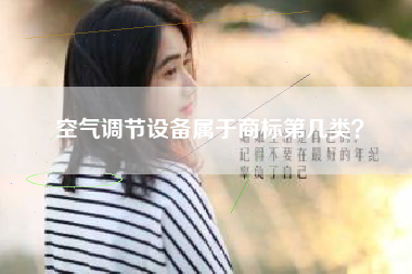 空气调节设备属于商标第几类？