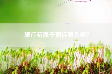 旅行箱属于商标第几类？