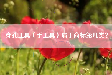 穿孔工具（手工具）属于商标第几类？