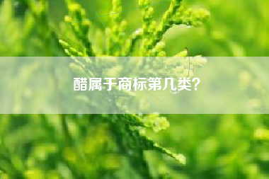 醋属于商标第几类？