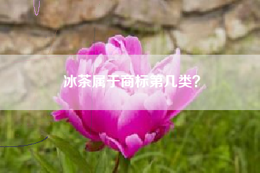 冰茶属于商标第几类？