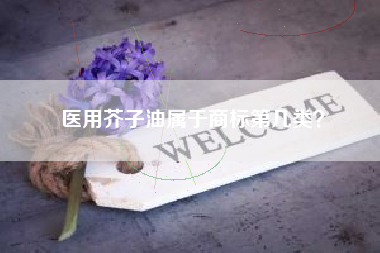 医用芥子油属于商标第几类？