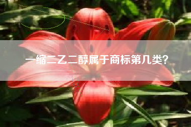 一缩二乙二醇属于商标第几类？