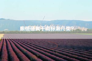 眼镜链属于商标第几类？