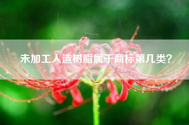 未加工人造树脂属于商标第几类？