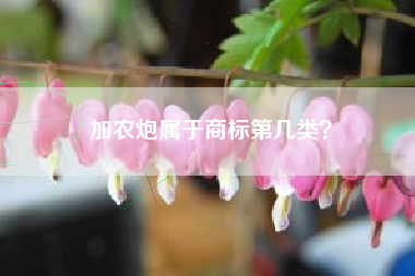 加农炮属于商标第几类？