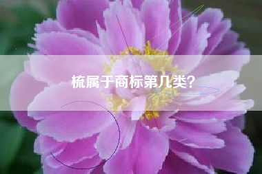 梳属于商标第几类？