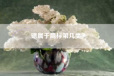 锶属于商标第几类？