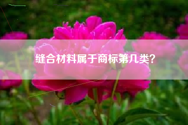 缝合材料属于商标第几类？