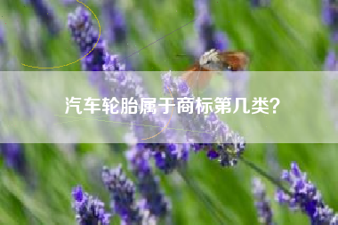 汽车轮胎属于商标第几类？