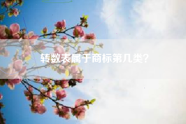 转数表属于商标第几类？