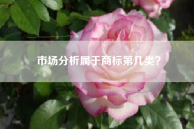 市场分析属于商标第几类？