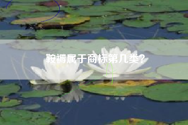 鞍褥属于商标第几类？