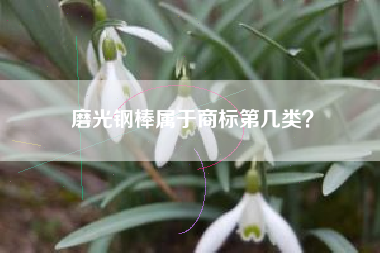 磨光钢棒属于商标第几类？