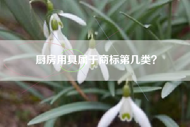 厨房用具属于商标第几类？