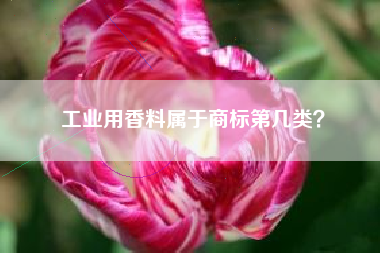 工业用香料属于商标第几类？