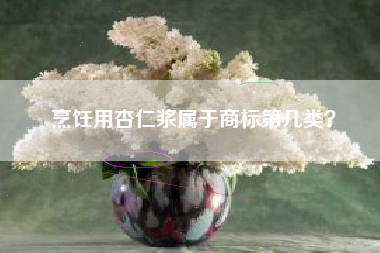 烹饪用杏仁浆属于商标第几类？