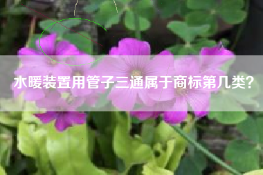 水暖装置用管子三通属于商标第几类？