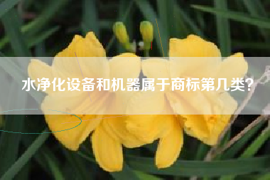 水净化设备和机器属于商标第几类？