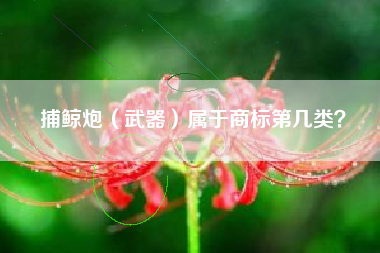捕鲸炮（武器）属于商标第几类？