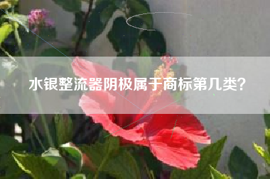 水银整流器阴极属于商标第几类？