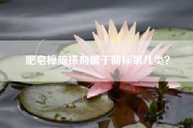 肥皂樟脑搽剂属于商标第几类？