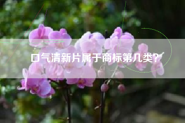 口气清新片属于商标第几类？