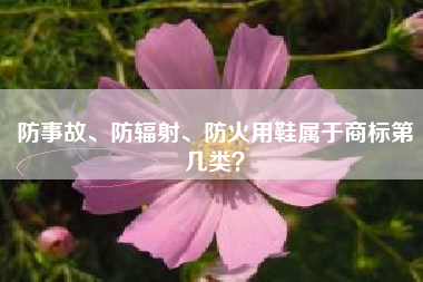 防事故、防辐射、防火用鞋属于商标第几类？