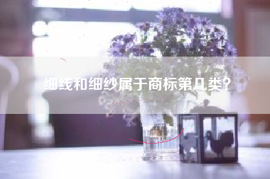 细线和细纱属于商标第几类？